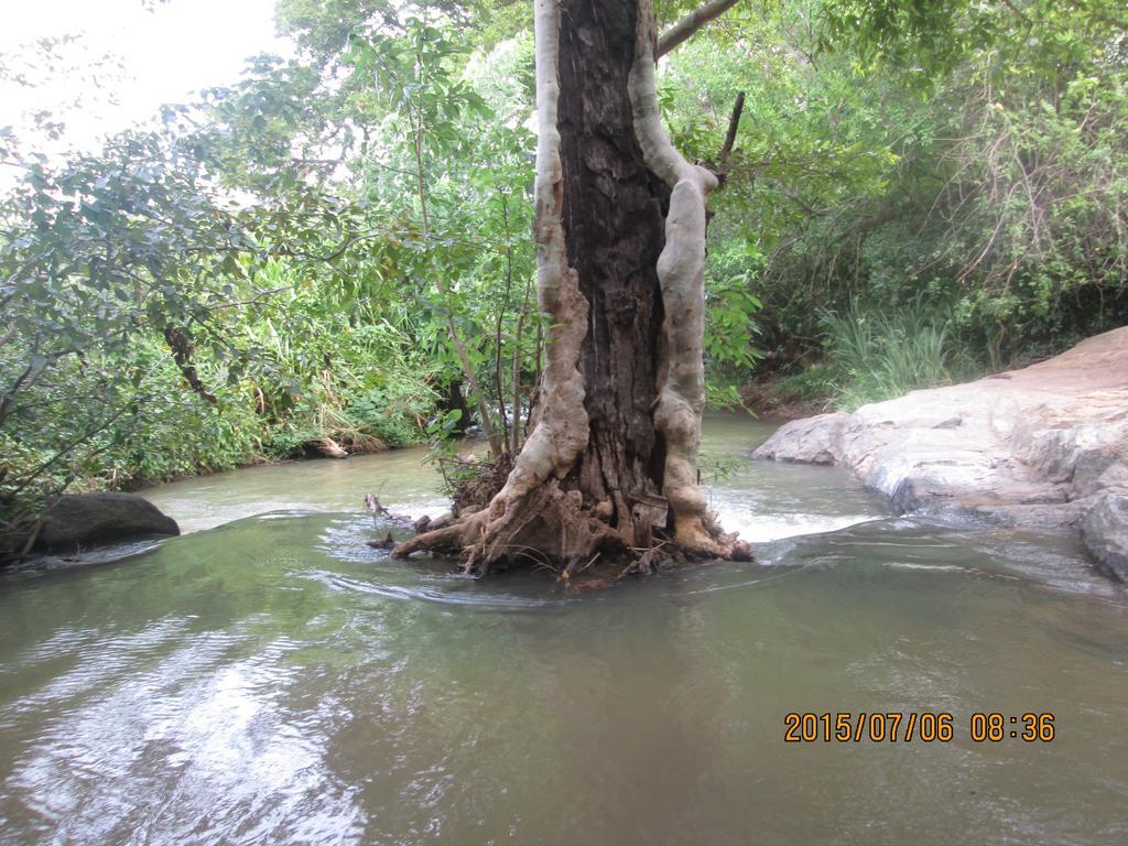 Sigiriya River Side Resort 外观 照片