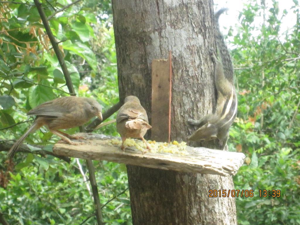 Sigiriya River Side Resort 外观 照片