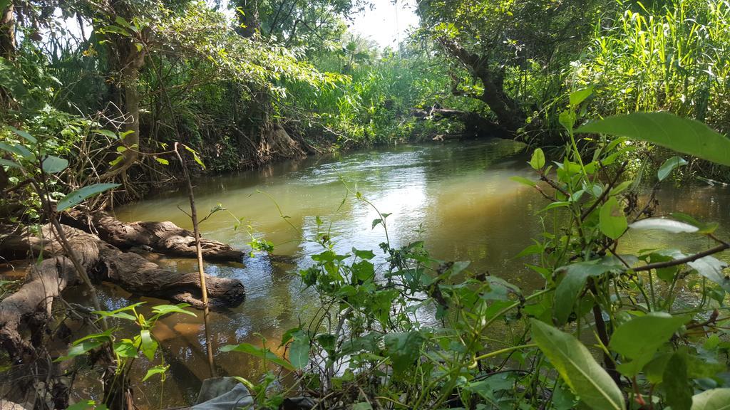 Sigiriya River Side Resort 外观 照片