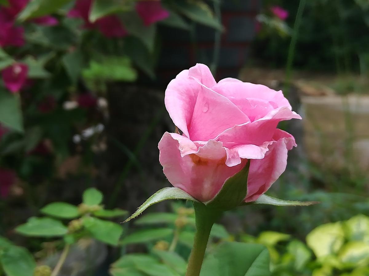 Sigiriya River Side Resort 外观 照片